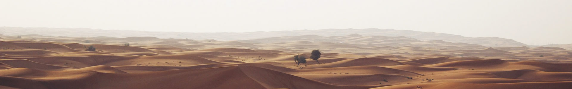 Ƽ㽭޹˾